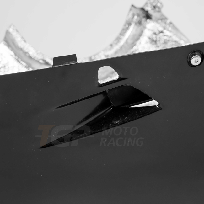 Spoiler de bicho Lavatex AP Carbon Line Ducati Panigale V4 R (2026) 