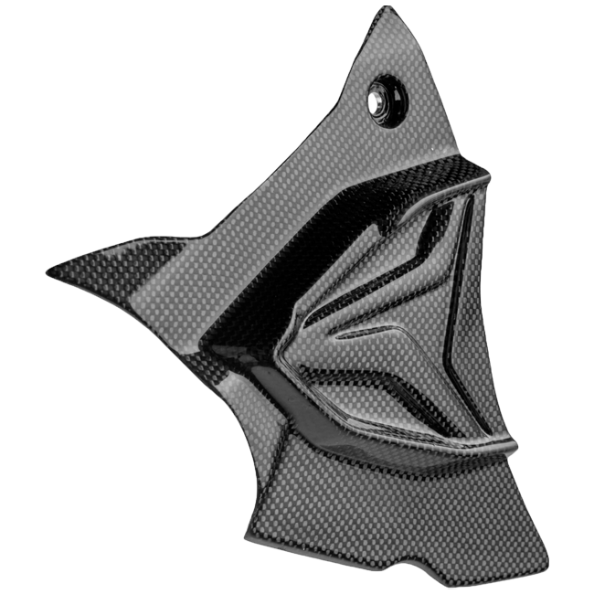 Cubierta de piñón de carbono LighTech BMW S1000RR K67 (19-25) CARB1945 