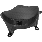 Cubierta de alternador de carbono LighTech Ducati Panigale V4/S (2025) CARD0840 