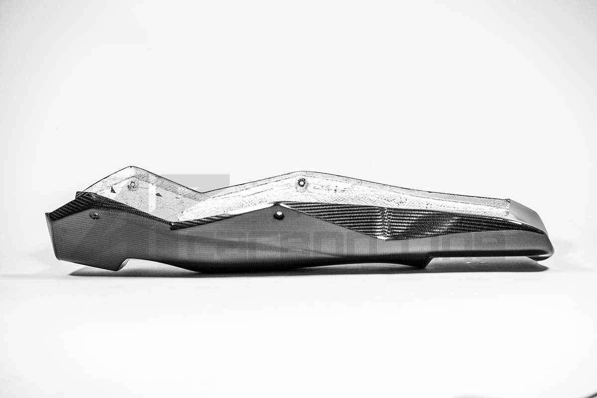 Spoiler de bicho 200g AP Carbon Line Aprilia RSV4/RR/1100 Factory (21-25) 