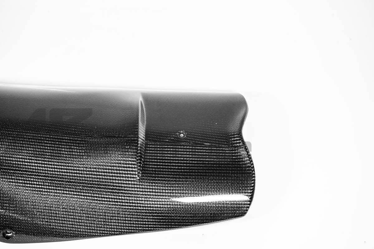 Spoiler de bicho 200g AP Carbon Line Aprilia RSV4/RR/1100 Factory (21-25) 