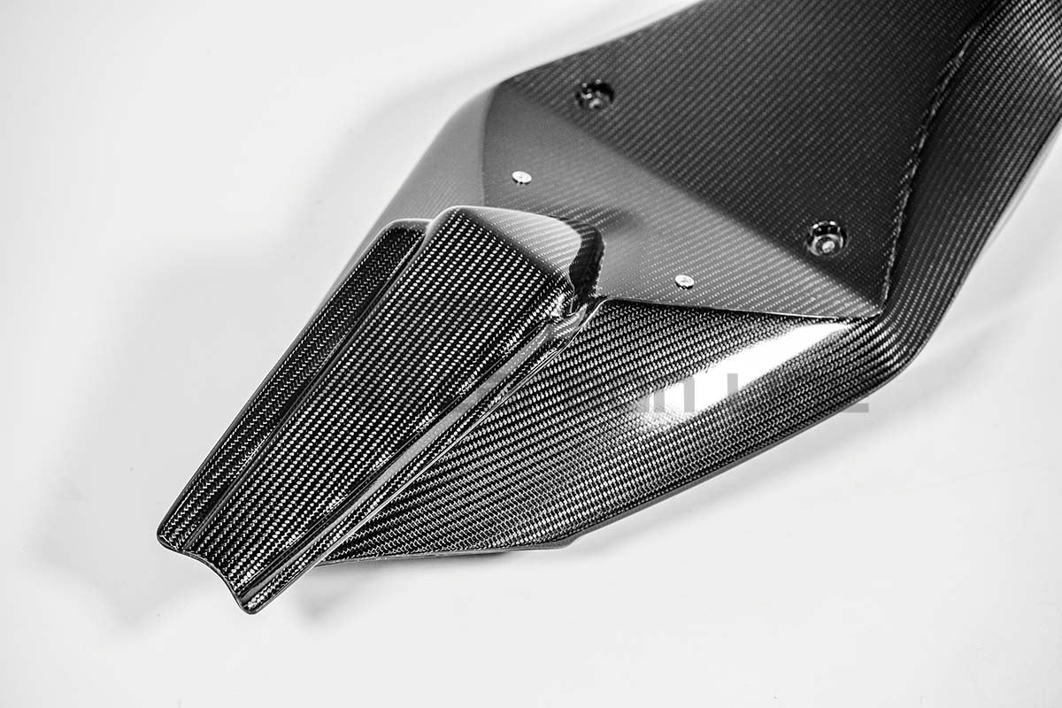 Carénage trasero 200g AP Carbon Line Aprilia RSV4/RR/1100 Factory (21-25) 