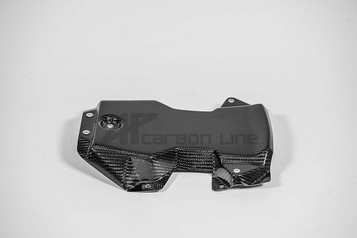 Carénage trasero 200g AP Carbon Line Aprilia RSV4/RR/1100 Factory (21-25) 