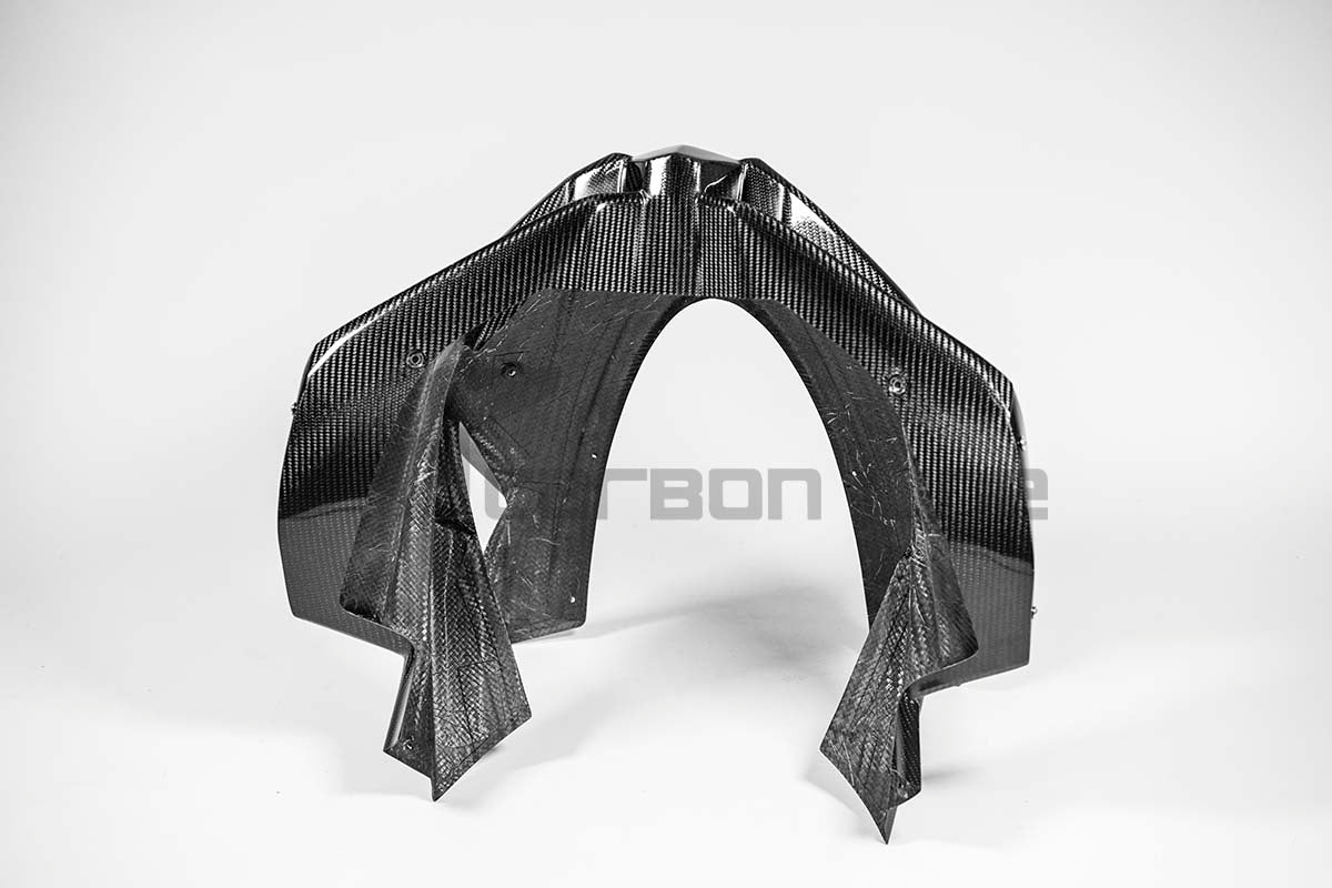 Carcasa delantera 200g AP Carbon Line Aprilia RSV4/RR/1100 Factory (21-25) 