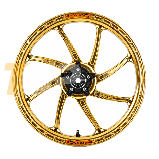 OZ GP Replica llanta trasera de aluminio GP-8R para BMW S1000RR K67 con soporte M (19-26) V6271BM60 