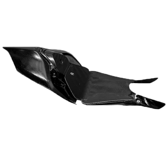 Kit de carenado trasero y base de asiento WorldSSP Feel Racing Ducati Panigale V2 955 (20-24) FR.495.113.C 