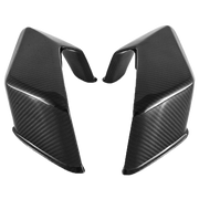 Aletas de carbono Fullsix BMW S1000RR K67 (19-22) 