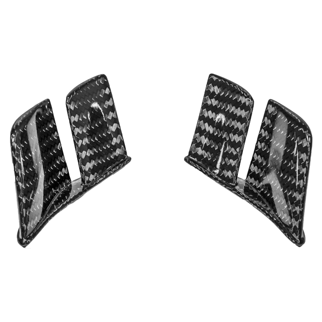 Alerones traseros MotoGP 400g AP Carbon Line Ducati Panigale V2 955 (20-24) 