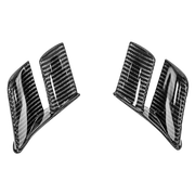 Alerones traseros MotoGP 200g AP Carbon Line Ducati Panigale V2 955 (20-24) 