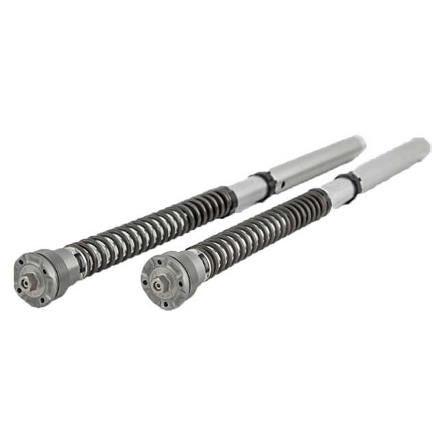 Kit de cartucho Öhlins NIX 30 FGK 241 para Honda CBR 1000 RR-R SC82 (20-25) 