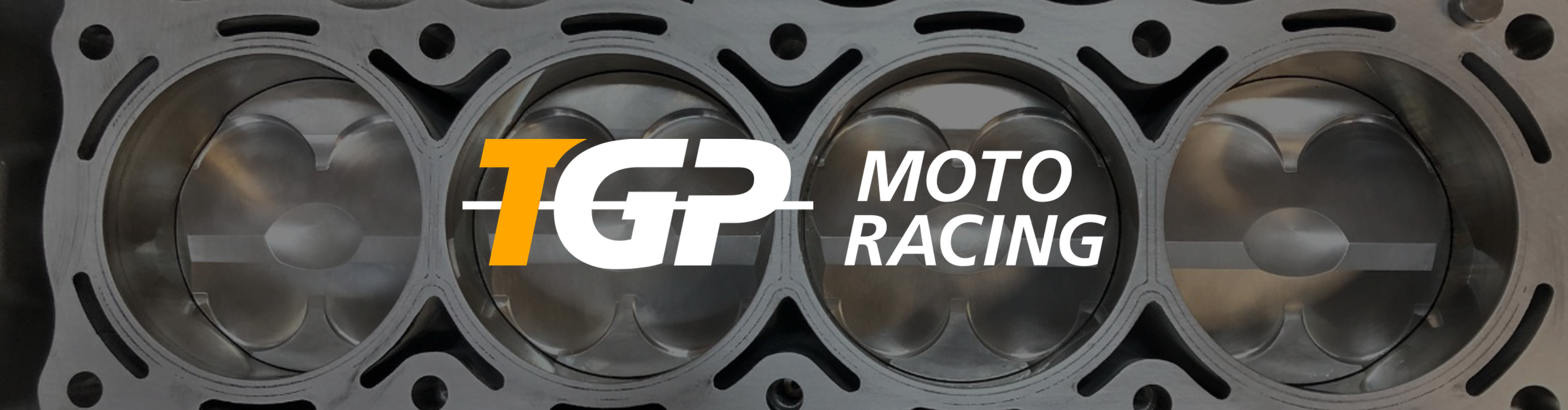 TGP MotoRacing