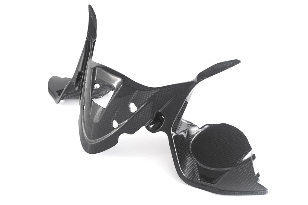 Cubierta de instrumentos de carbono Fullsix Ducati Panigale 1299/S (15-18) 