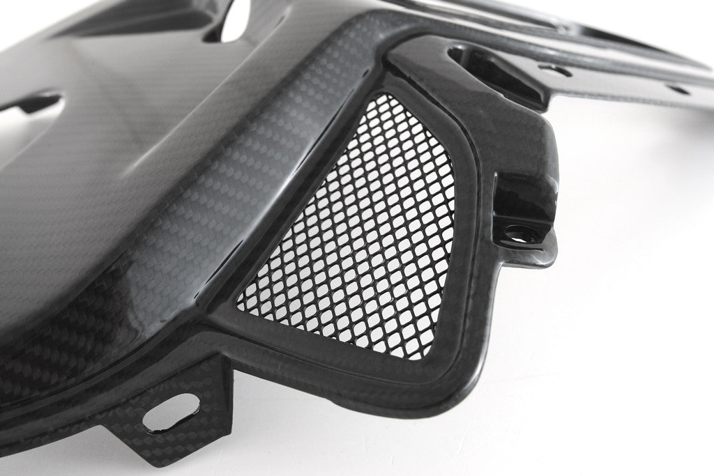 Cubierta trasera superior de carbono Fullsix BMW S1000RR K67 (19-22) 